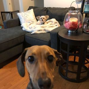 Meet your Posher, Kelly